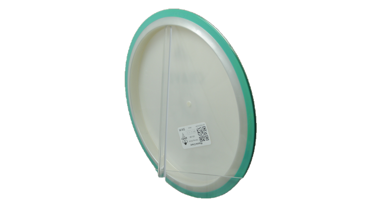 Axiom Plasma Crave Fairway Driver Back View