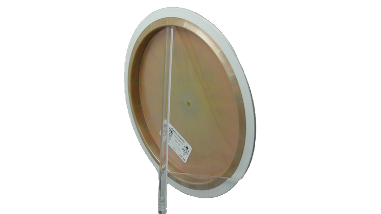 Axiom Plasma Insanity Fairway Driver Back View