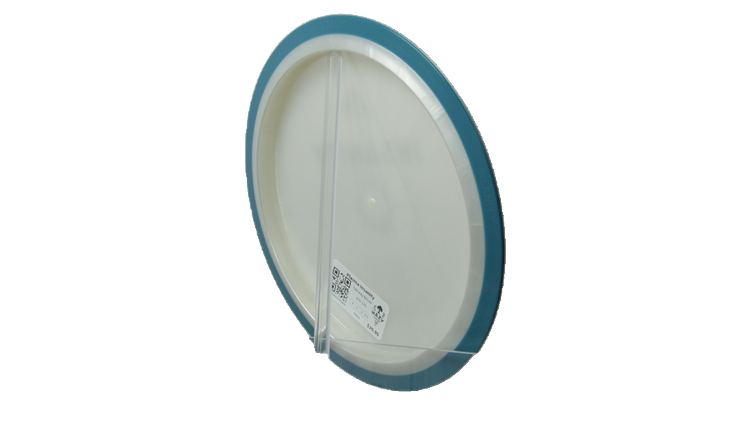 Axiom Plasma Insanity Fairway Driver Back View