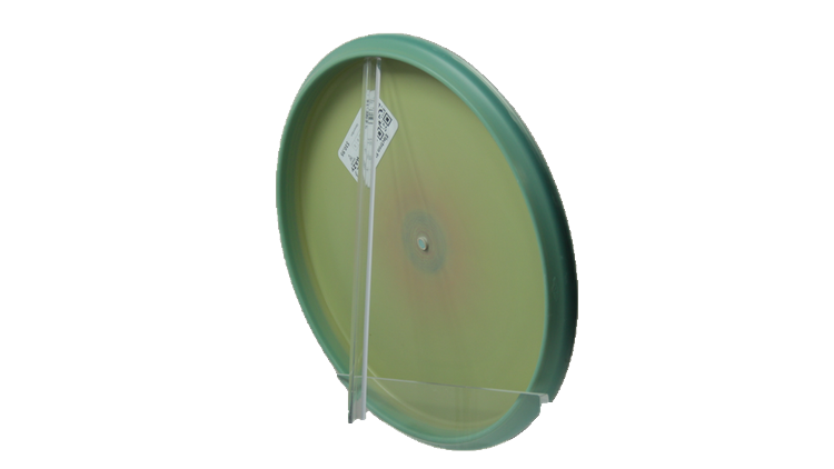 Streamline Electron Stabilizer Putter Back View