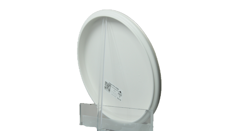 Dynamic Discs Classic Pro Judge Putter Back View