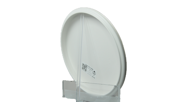 Dynamic Discs Classic Pro Judge Putter Back View