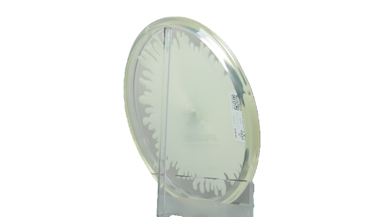 Latitude 64 Opto-Ice Moonshine Splash Pure Putter Back View