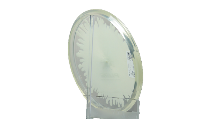 Latitude 64 Opto-Ice Moonshine Splash Pure Putter Back View