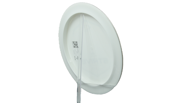 Latitude 64 Grand Strive Distance Driver Back View
