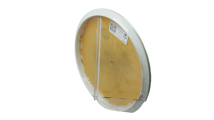 Discmania 2026 Niklas Anttila Creator Series Horizon S-Line Drop Putter Back View