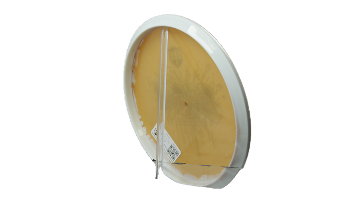 Discmania 2026 Niklas Anttila Creator Series Horizon S-Line Drop Putter Back View
