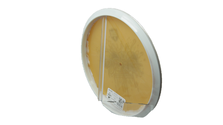 Discmania 2026 Niklas Anttila Creator Series Horizon S-Line Drop Putter Back View
