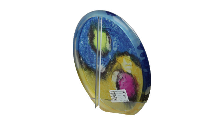 Discraft Paul McBeth Fly Dye Z Luna Putter Back View