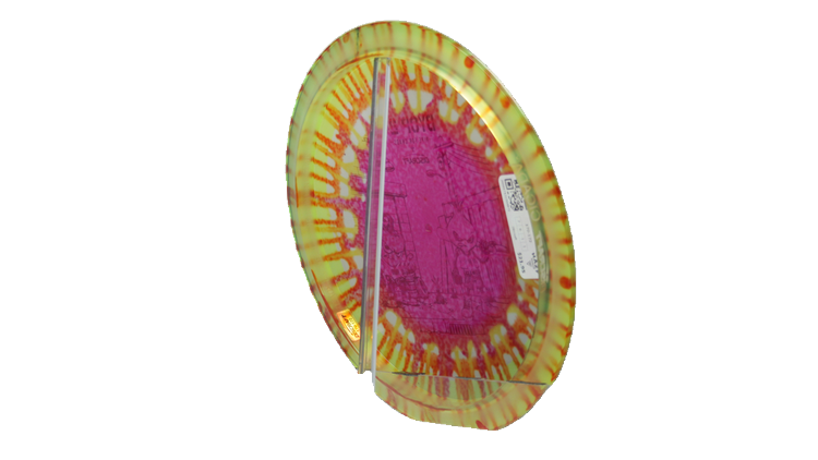 Discraft 2026 BYOP Curbside Chaos Z Fly Dye Cicada Fairway Driver Back View