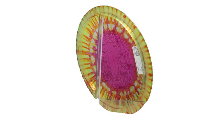 Discraft 2026 BYOP Curbside Chaos Z Fly Dye Cicada Fairway Driver Back View