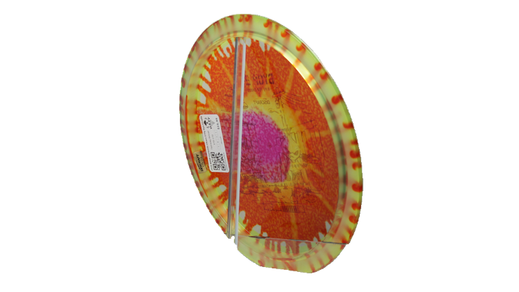Discraft 2026 BYOP Curbside Chaos Z Fly Dye Cicada Fairway Driver Back View