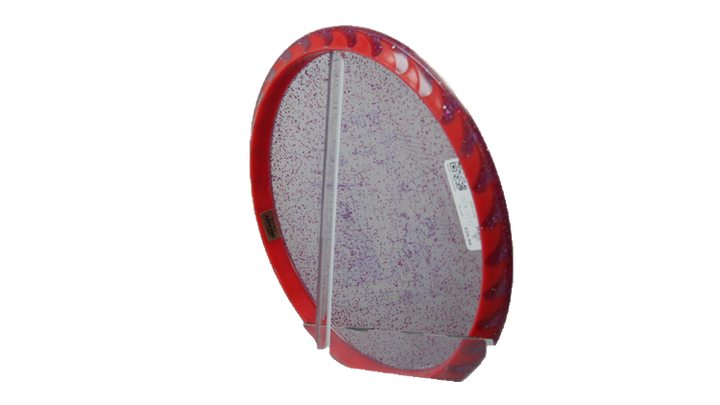 Discraft 2026 BYOP Curbside Chaos Sparkle FuZed Z Buzzz Midrange Back View