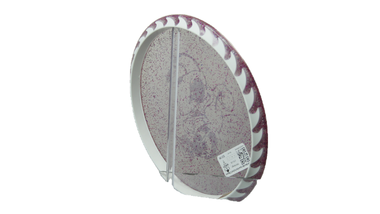 Discraft 2026 Worlds Sparkle FuZed Z Buzzz Midrange Back View