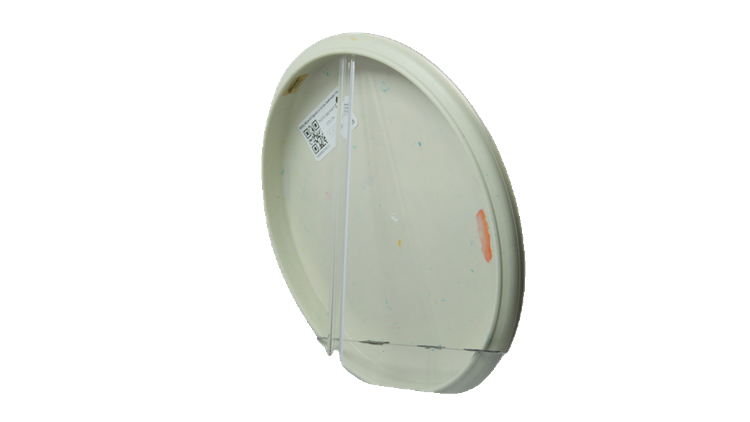 Discraft Ricky Wysocki Signature Series Jawbreaker Focus Putter Back View