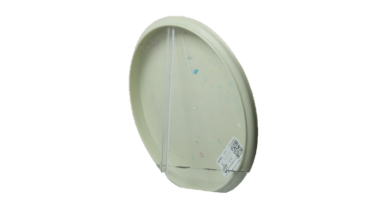 Discraft Ricky Wysocki Signature Series Jawbreaker Focus Putter Back View