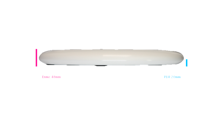 Discraft 2026 Halloween Foot Fault ESP Roach Putter Profile View
