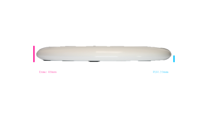 Discraft 2026 Halloween Foot Fault ESP Roach Putter Profile View
