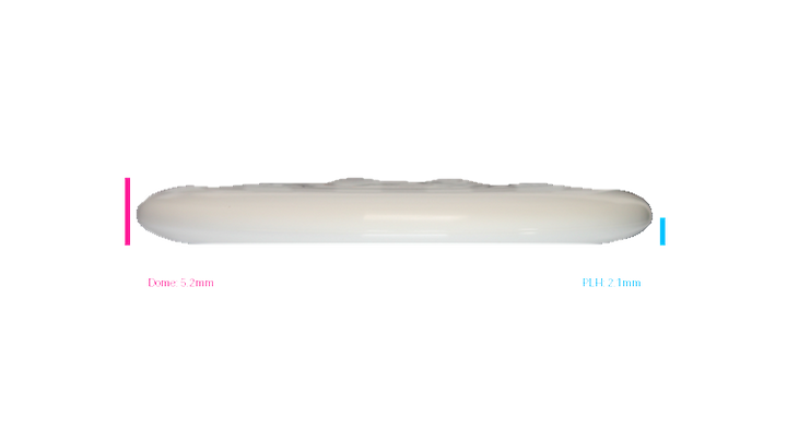 Discraft 2026 Halloween Foot Fault ESP Roach Putter Profile View