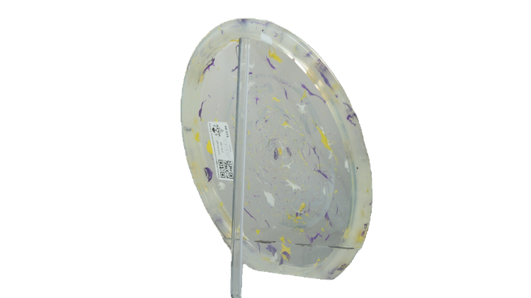 Innova 2026 Ohn Scoggins Commemorative Party Time Fox Midrange Back View