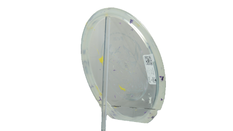Innova 2026 Ohn Scoggins Commemorative Party Time Fox Midrange Back View