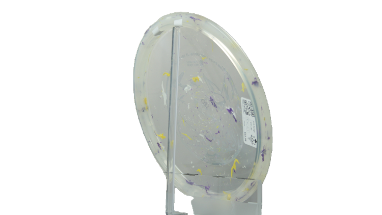 Innova 2026 Ohn Scoggins Commemorative Party Time Fox Midrange Back View