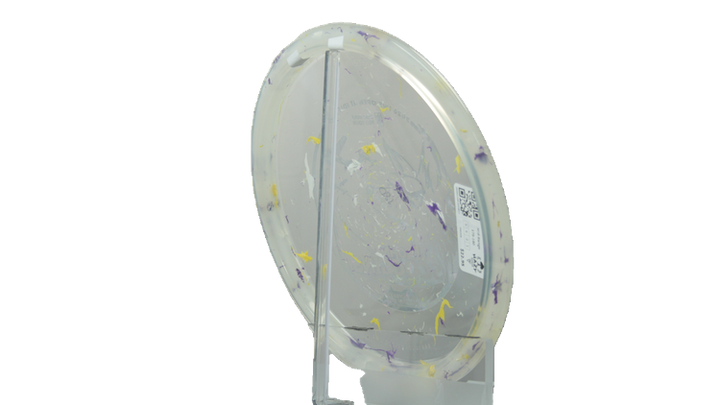 Innova 2026 Ohn Scoggins Commemorative Party Time Fox Midrange Back View