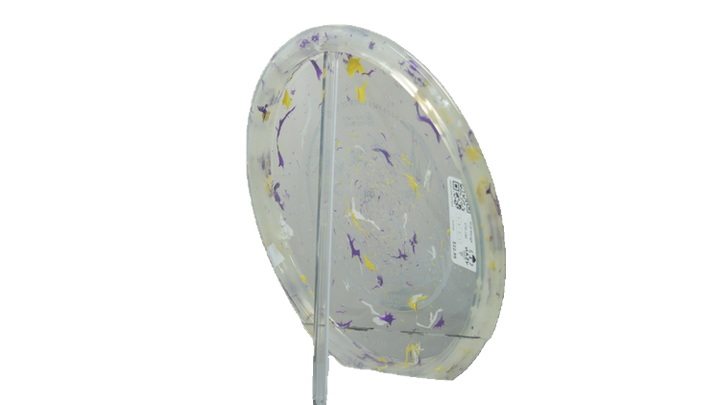 Innova 2026 Ohn Scoggins Commemorative Party Time Fox Midrange Back View