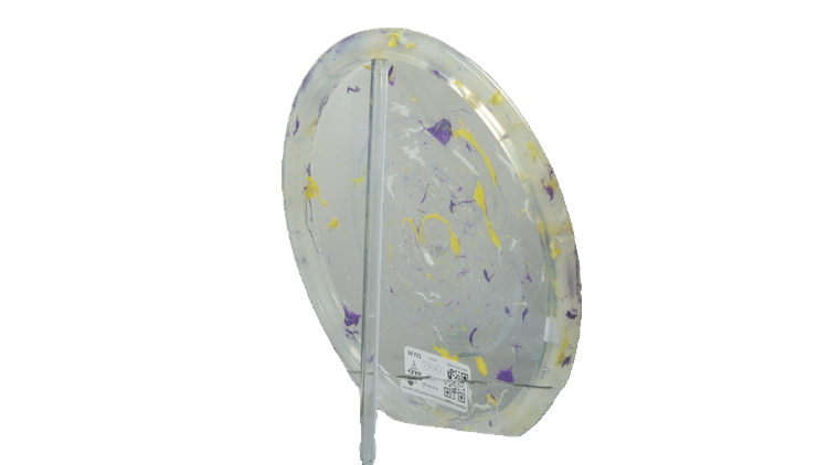 Innova 2026 Ohn Scoggins Commemorative Party Time Fox Midrange Back View