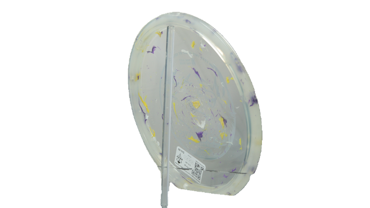 Innova 2026 Ohn Scoggins Commemorative Party Time Fox Midrange Back View