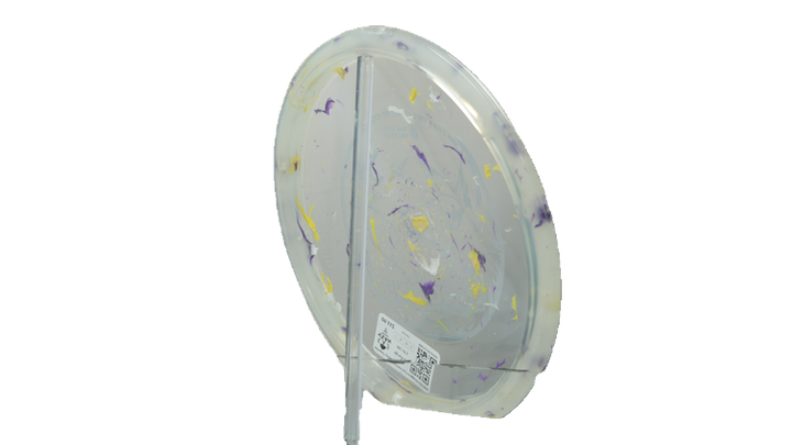 Innova 2026 Ohn Scoggins Commemorative Party Time Fox Midrange Back View