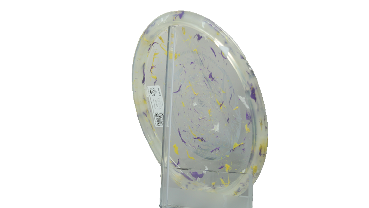 Innova 2026 Ohn Scoggins Commemorative Party Time Fox Midrange Back View