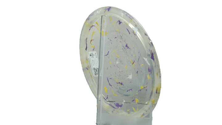 Innova 2026 Ohn Scoggins Commemorative Party Time Fox Midrange Back View