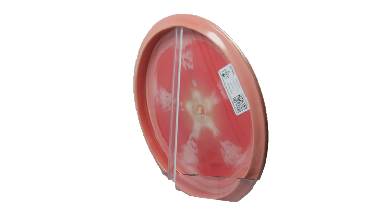 Streamline 2026 Schultz Championship Neutron Echo Midrange Back View