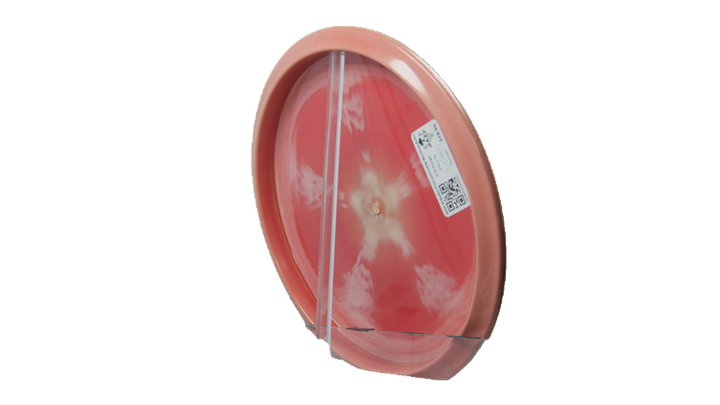 Streamline 2026 Schultz Championship Neutron Echo Midrange Back View