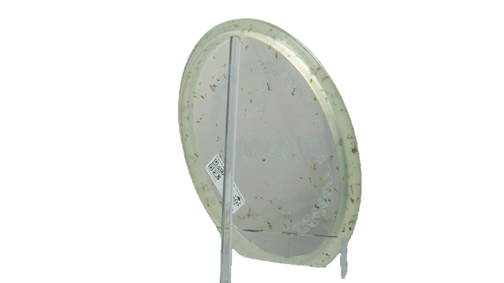 Discraft 2026 Ricky Wysocki Million Dollar Z Money Buzzz Midrange Back View