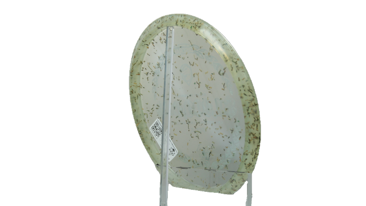 Discraft 2026 Ricky Wysocki Million Dollar Z Money Buzzz Midrange Back View