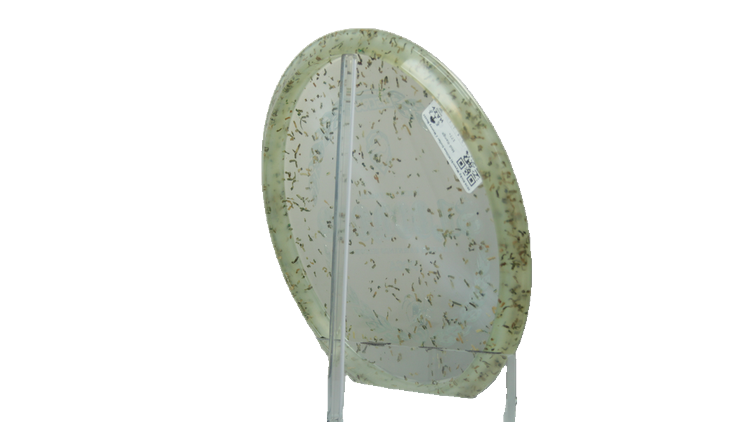 Discraft 2026 Ricky Wysocki Million Dollar Z Money Buzzz Midrange Back View