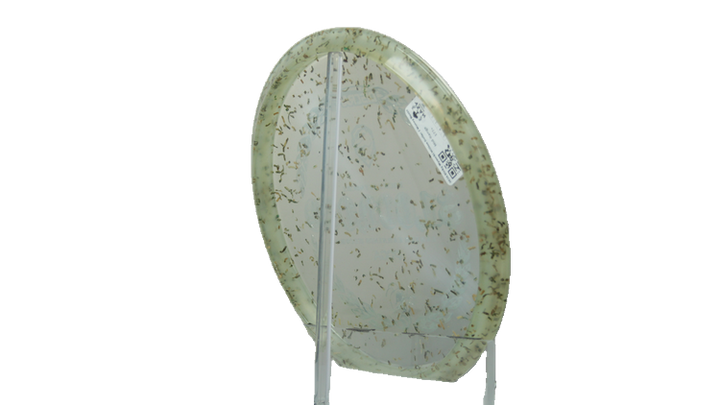 Discraft 2026 Ricky Wysocki Million Dollar Z Money Buzzz Midrange Back View