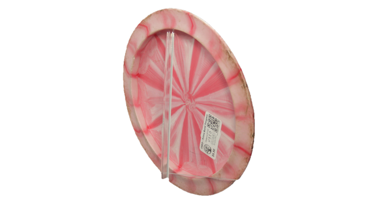 USED Dynamic Discs Prime Burst Trespass Distance Driver Back View