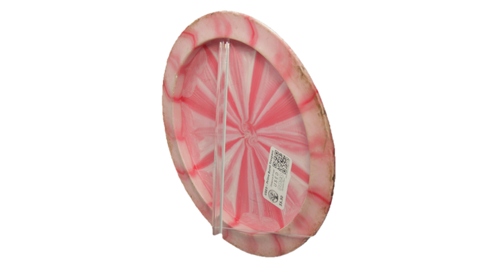 USED Dynamic Discs Prime Burst Trespass Distance Driver Back View