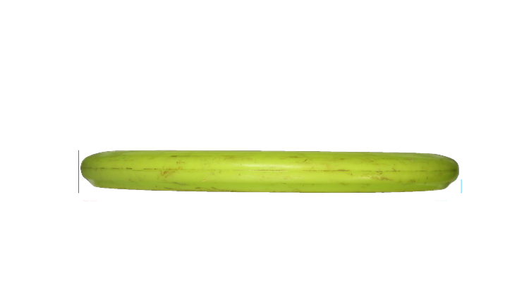 USED Prodigy 400 PA1 Putter Profile View