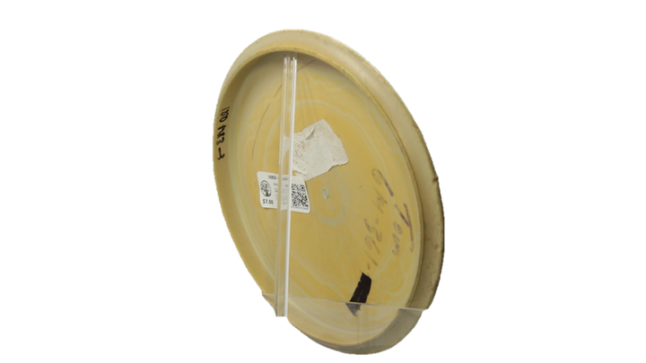 USED Prodigy 300 MX-3 Midrange Back View