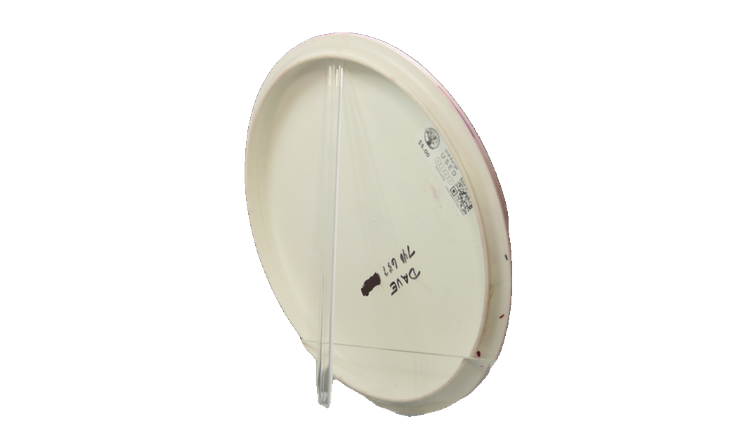 USED Discmania Geo Method Midrange Back View