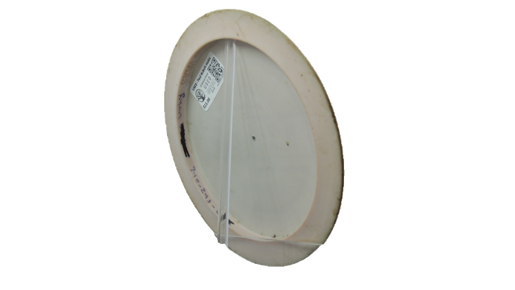 USED Discraft Paul McBeth Hades #ERROR! Back View