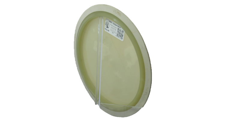 USED MVP Eclipse Wave Distance Driver Back View
