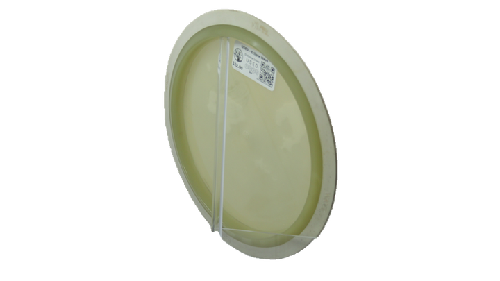 USED MVP Eclipse Wave Distance Driver Back View