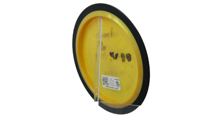 USED MVP Plasma Catalyst Distance Driver Back View