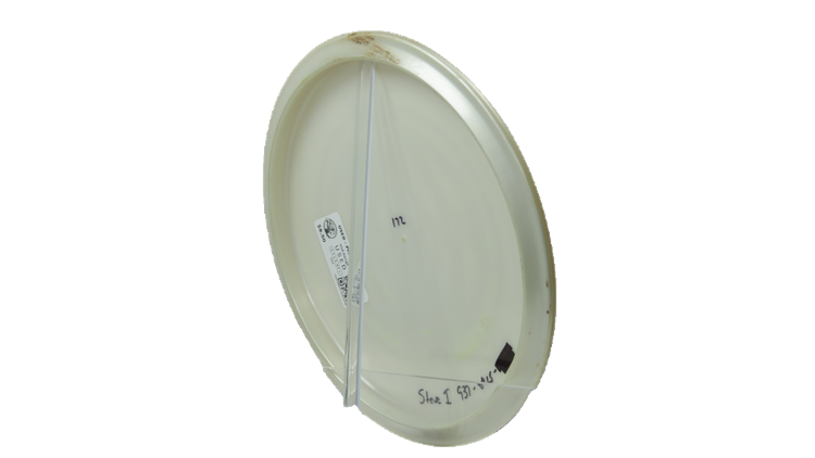 USED DGA ProLine Tremor Midrange Back View