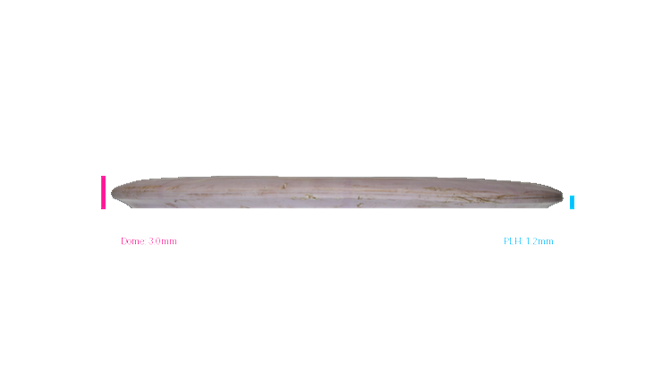 USED Dynamic Discs Prime Truth Midrange Profile View